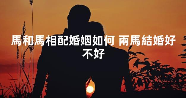 馬和馬相配婚姻如何 兩馬結婚好不好